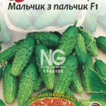 Огірок Мальчик з пальчик F1