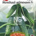 Огірок Молодший Лейтенант F1