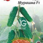 Огірок Мурашка F1