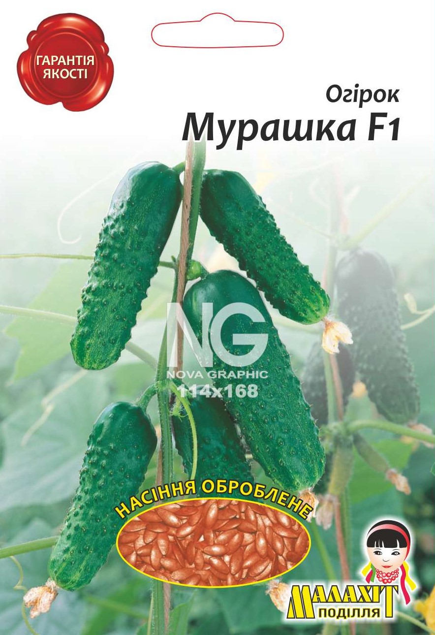 Огирок Мурашка G4702011 Огірок Мурашка F1 - Зображення 1