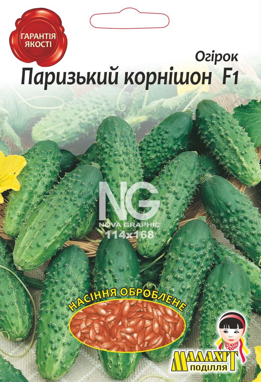 Огирок Паризький корнишон N1700383 Паризький Корнішон F1 - Зображення 1
