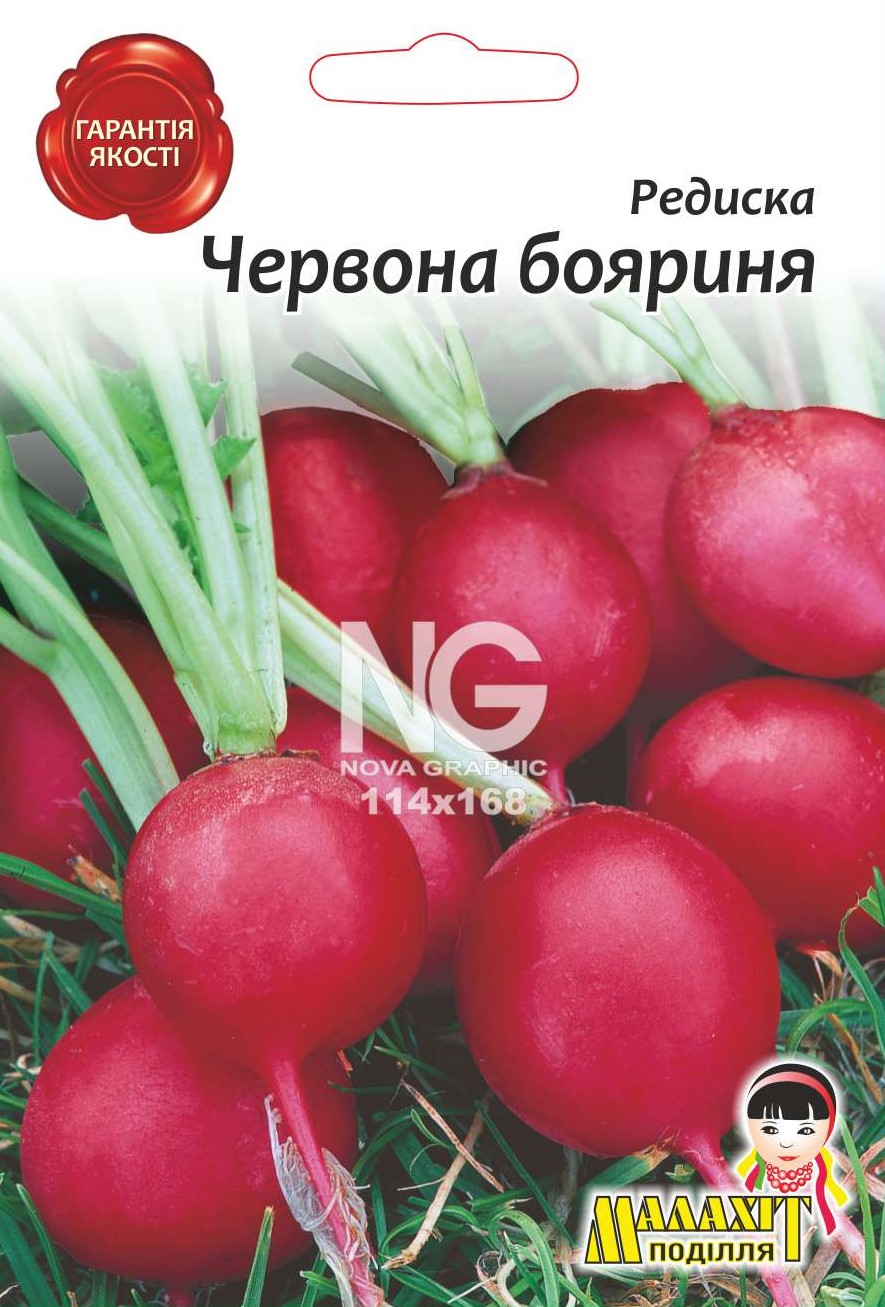 Редиска Красная бояриня U00607 Редис Червона Бояриня - Зображення 1