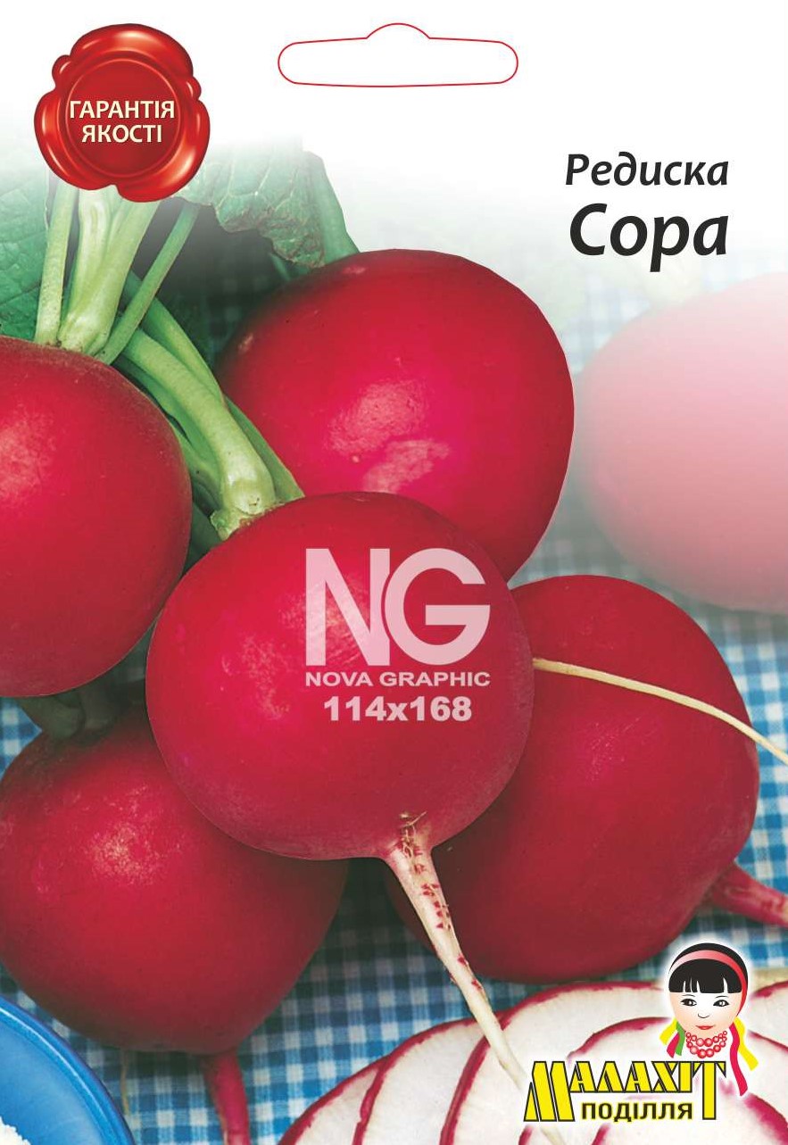 Редиска Сора 708534 Редис Сора - Зображення 1