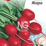 Редис Жара
