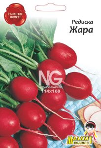 Редис Жара