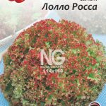 Салат Лоло Росса