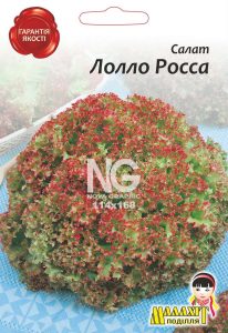 Салат Лоло Росса